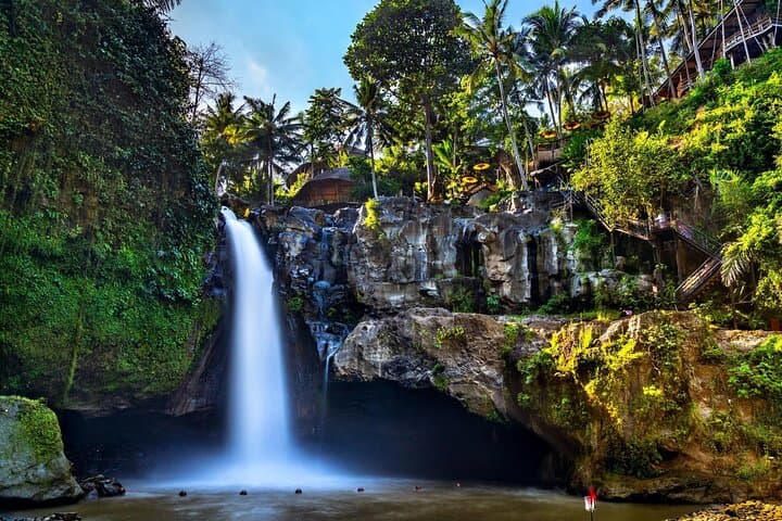 Bali Full-Day Waterfall and Ubud Tour: Tegenungan, Tegalalang & Monkey Forest