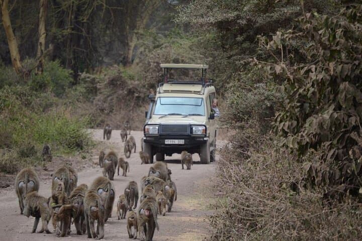 4-Day Camping Safari in Tanzania: Tarangire, Serengeti & Ngorongoro
