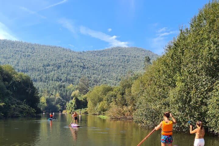 SUP on the Arda River: 2-Hour Paddle from Pedorido (Douro, Portugal) photo 6