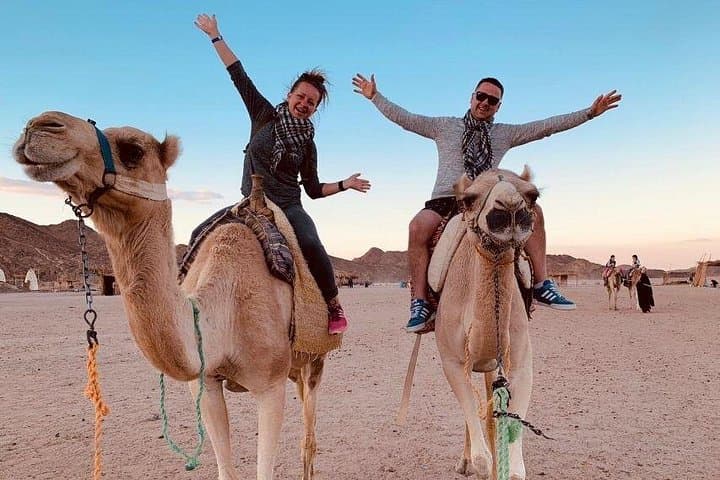 Hurghada Desert ATV & Camel Safari: 3-Hour Dune Adventure from Hurghada