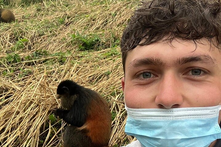 Full-Day Private Golden Monkey Tracking in Volcanoes National Park, Rwanda