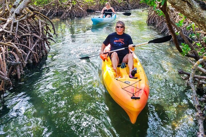 Siesta Key Mangrove Kayak Tour to a Secret Beach photo 2