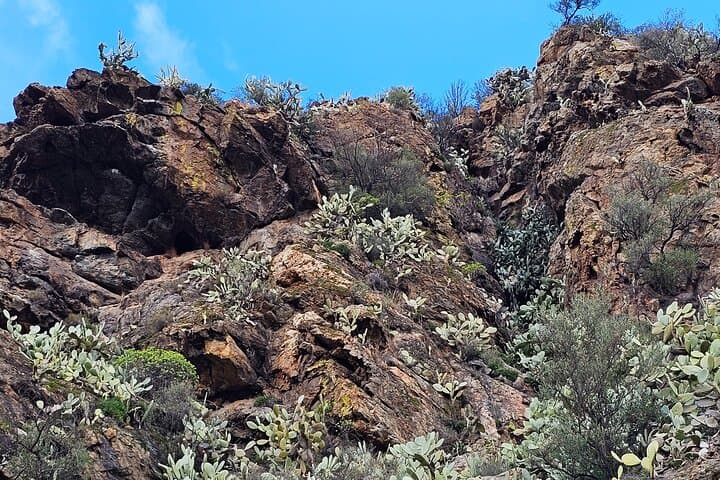 Rio Pitrisconi & Monte Nieddu 4x4 Excursion: Natural Pools, Waterfalls & Tavolara Views photo 5