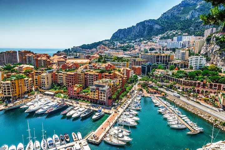 Private Monaco Tour: Hidden Gems, Art & Monumental Trees Around Monte-Carlo photo 5