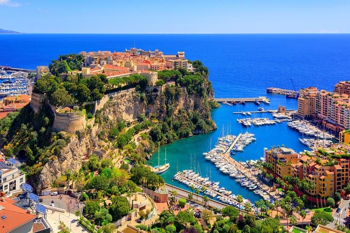 Private Monaco Tour: Hidden Gems, Art & Monumental Trees Around Monte-Carlo
