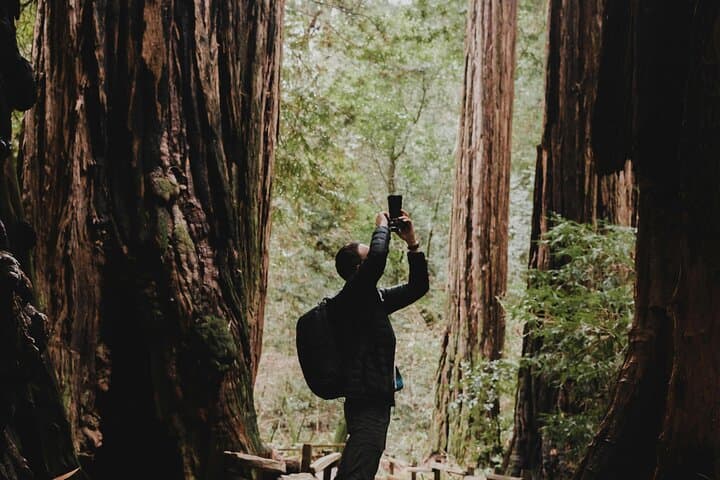 Private San Francisco Day Tour: Golden Gate Bridge, Sausalito & Muir Woods photo 2