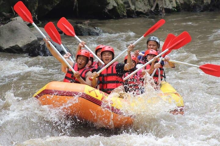 Ayung River Rafting Ubud: 2-Hour Class II–III White-Water Adventure with Buffet Lunch