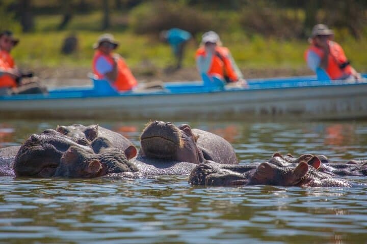 Hells Gate & Lake Naivasha Day Trip: Biking, Boat Ride and Crescent Island Walk photo 5