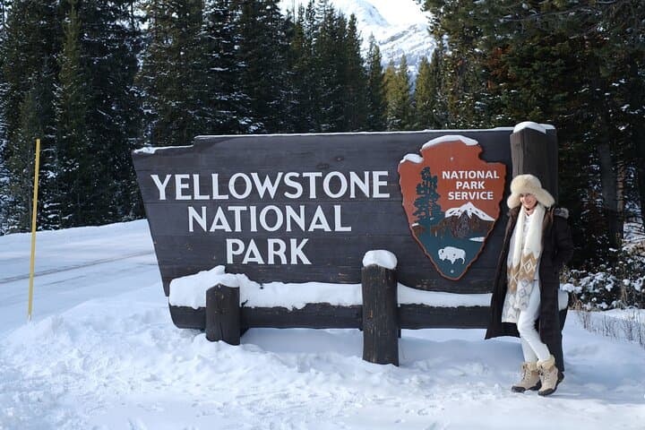 Private Yellowstone Wildlife & Photo Safari — Custom Full-Day Photo Tours from Mammoth photo 3