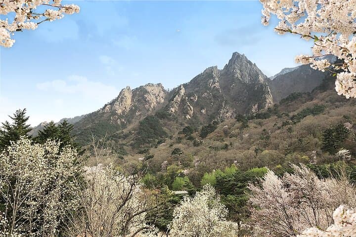 Seorak, Nami & Morning Calm: Full-Day Trip from Seoul to Korea’s Mountain, Island & Garden photo 6