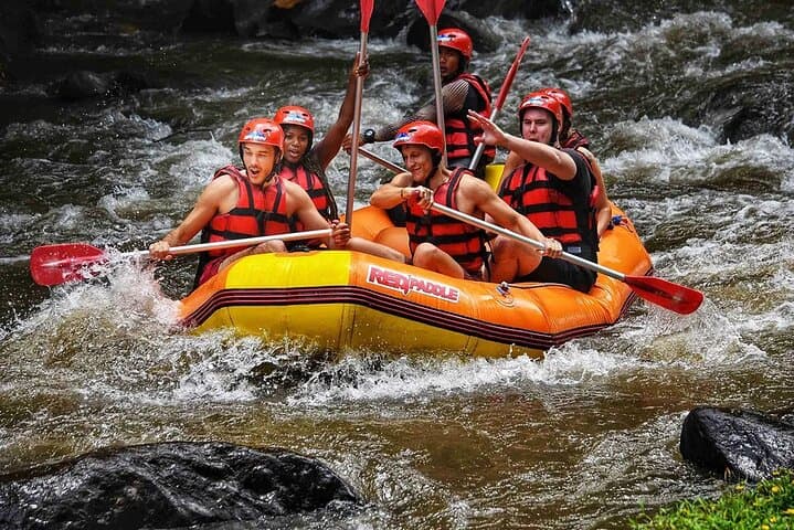 Ayung River Rafting Ubud: 2-Hour Class II–III White-Water Adventure with Buffet Lunch photo 5