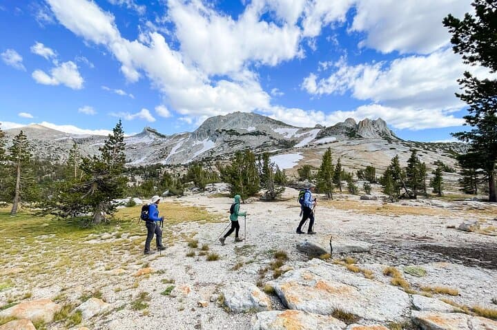 Yosemite High Country Explorer: Cathedral Range Guided Hike from Tuolumne Meadows photo 2