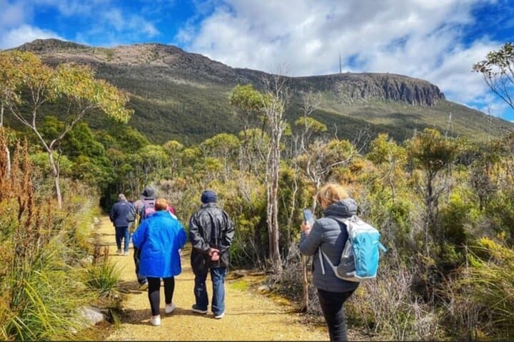 Kunanyi/Mt Wellington Ultimate Summit Tour from Hobart photo 6
