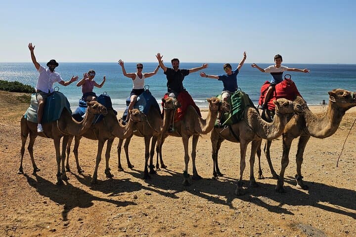 Three-Country Day: Gibraltar, Tangier & Tarifa from Seville