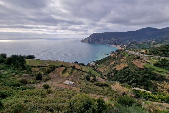 Cinque Terre & Pisa from Florence — Private 12‑Hour Limousine to Manarola and Pisa photo 4