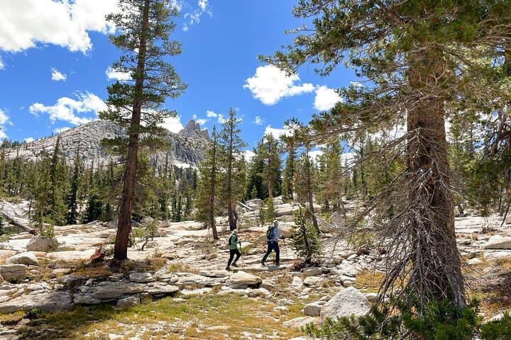 Yosemite High Country Explorer: Cathedral Range Guided Hike from Tuolumne Meadows photo 6