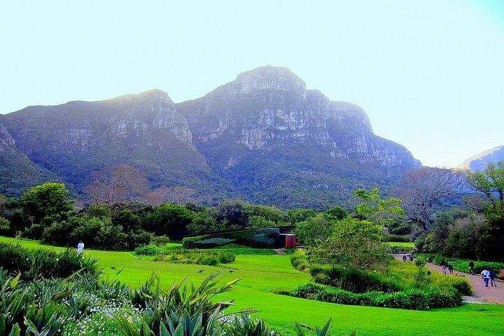 Private Constantia Winelands & Kirstenbosch Luxury Day Tour — Cape Town's Garden and Wine Route photo 2