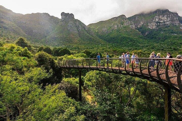 Private Constantia Winelands & Kirstenbosch Luxury Day Tour — Cape Town's Garden and Wine Route photo 4