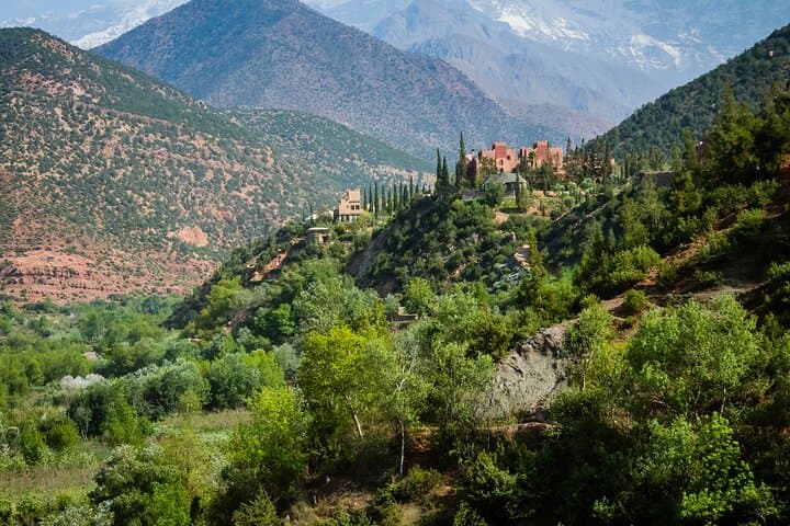 Atlas Mountains Full-Day: Imlil, Waterfalls & Berber Home Lunch photo 5