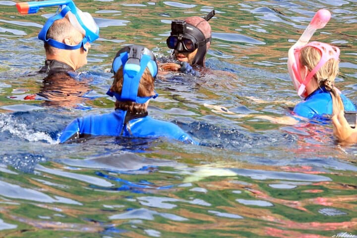Summer Snorkeling on Terceira’s South Coast with Water4fun photo 2