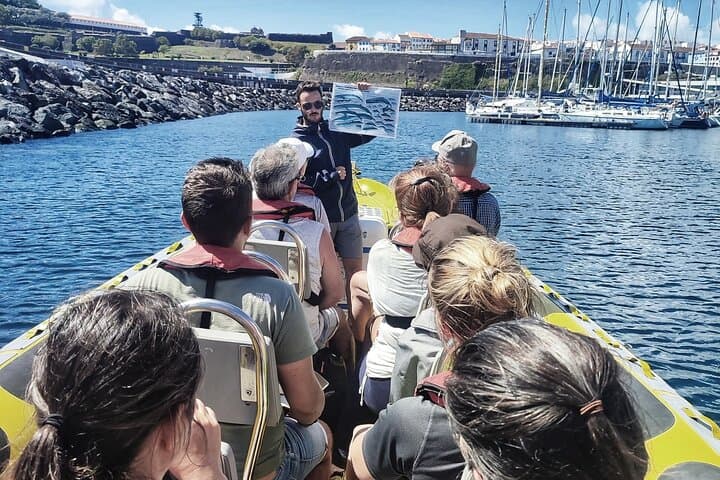 Terceira Whale and Dolphin Watching: 3-Hour Azores Cetacean Cruise photo 3