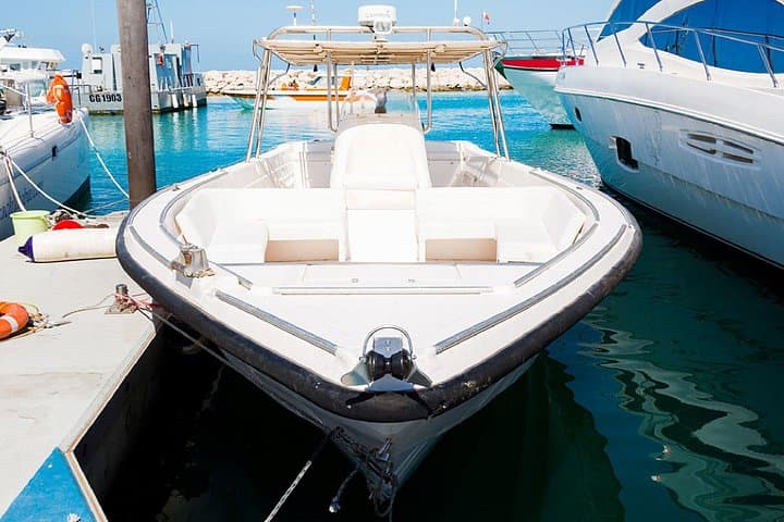 Private Fishing Tour in Dubai — 4-Hour Charter Off Jumeirah Beach photo 2