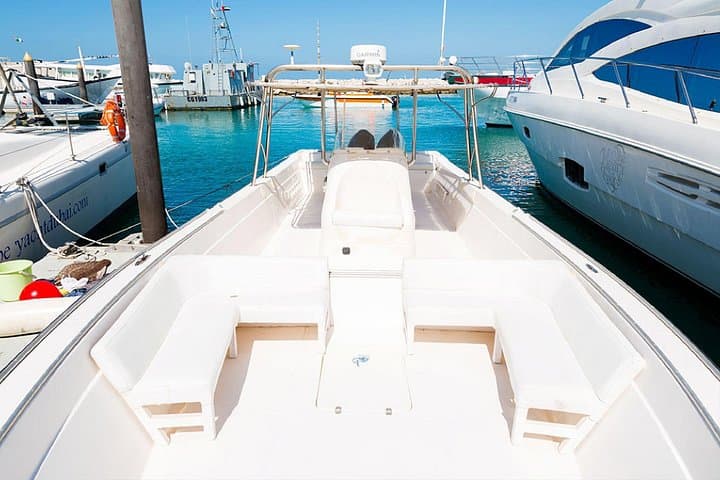 Private Fishing Tour in Dubai — 4-Hour Charter Off Jumeirah Beach photo 3