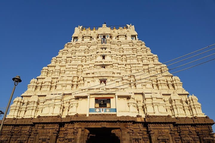 Explore the Wonders of South India and Goa: A 27-Day Private Odyssey photo 2