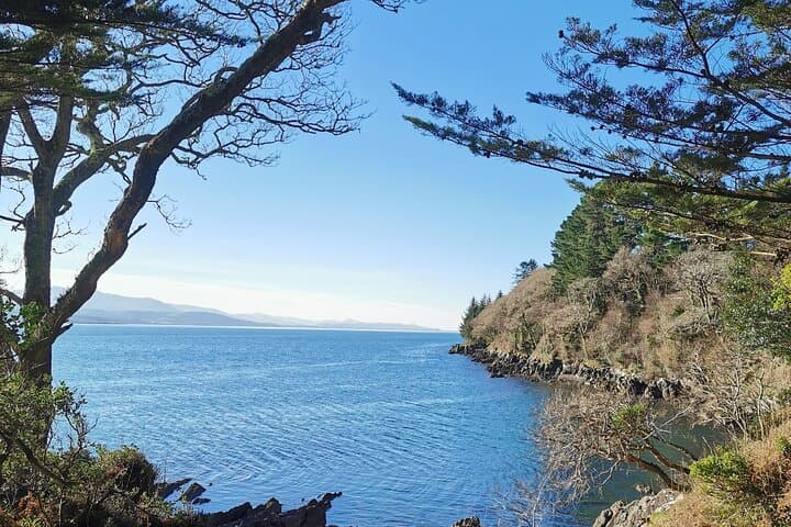 Ring of Kerry, Skellig Ring & Valentia Island: Private Day Tour from Kenmare