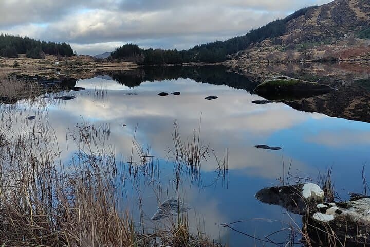 Ring of Kerry, Skellig Ring & Valentia Island: Private Day Tour from Kenmare photo 5