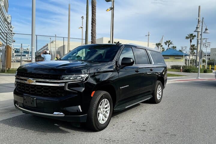 MCO to Port Canaveral Private Transfer: Luxury Shuttle to Cruise Terminals