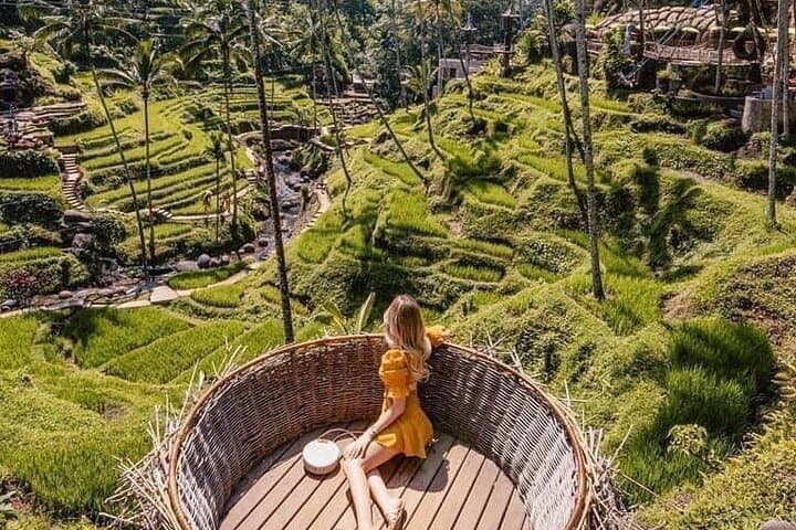 Ubud Highlights Private Tour: Tegalalang, Kanto Lampo & Monkey Forest photo 3