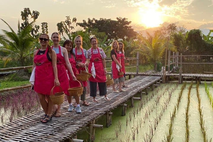 Chiang Mai Evening Organic Farm Cooking Class and Market Tour photo 2