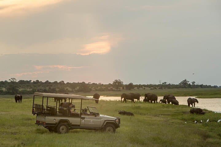 2-Day Chobe National Park Safari from Victoria Falls — Mid-Range Game Drives & River Cruise photo 2