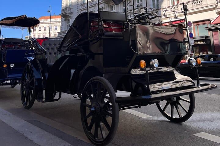Vienna Royal E-Carriage 60-Min Platinum Sightseeing Tour with Drinks