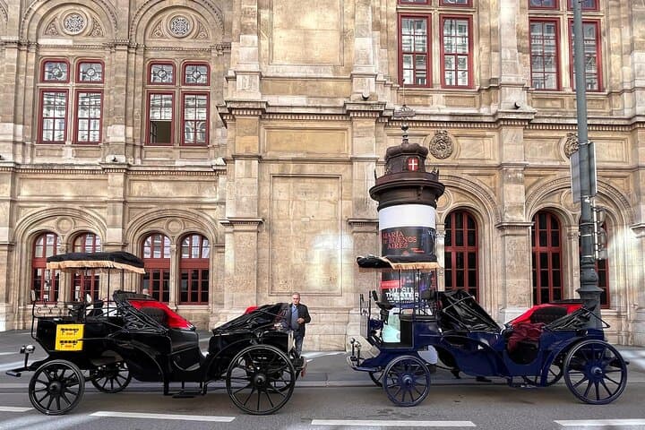Vienna Royal E-Carriage 60-Min Platinum Sightseeing Tour with Drinks photo 2