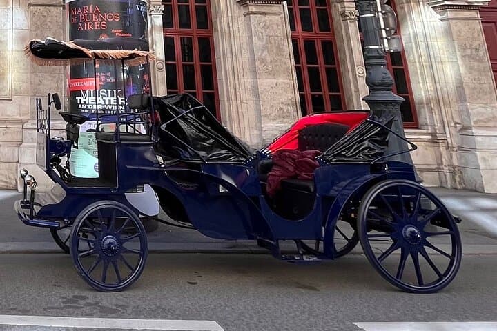 Vienna Royal E-Carriage 60-Min Platinum Sightseeing Tour with Drinks photo 3