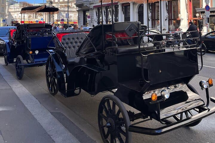 Vienna Royal E-Carriage 60-Min Platinum Sightseeing Tour with Drinks photo 5