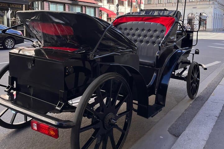 Vienna Royal E-Carriage 60-Min Platinum Sightseeing Tour with Drinks photo 6