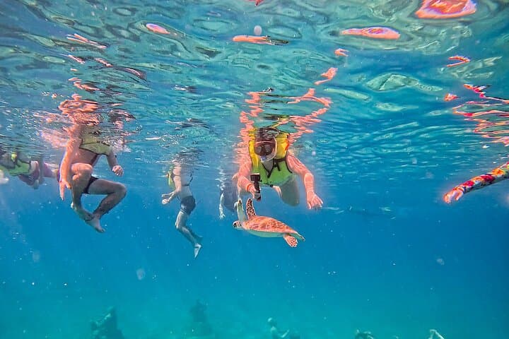 Snorkel the Underwater Sculpture Park in Little Bay, Sint Maarten photo 5
