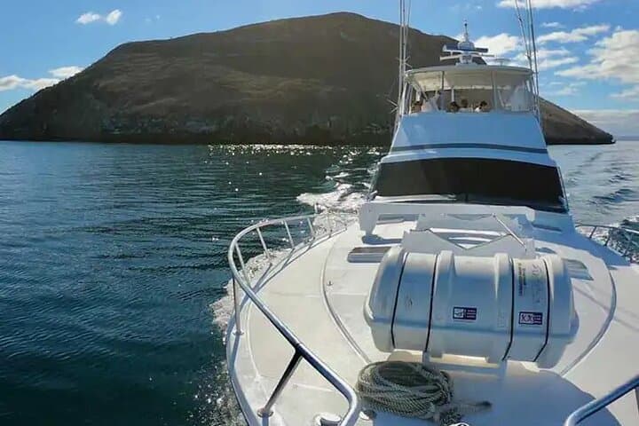 Bartolome Island Snorkel and Hike Day Trip from Puerto Ayora, Galapagos photo 2