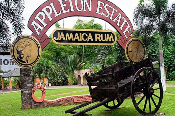 Private Black River & Appleton Rum Tour from Negril — Day Trip Safari and Distillery Visit photo 3