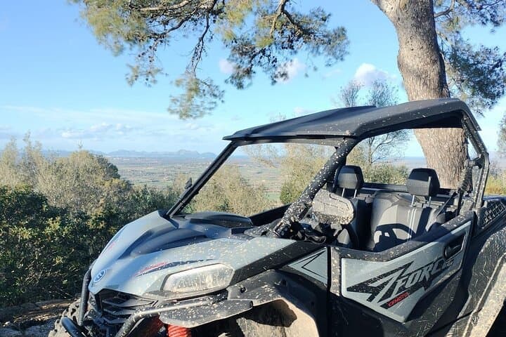 Mallorca Buggy Tour from Cala Bona to Capdepera Lighthouse via Artà photo 6