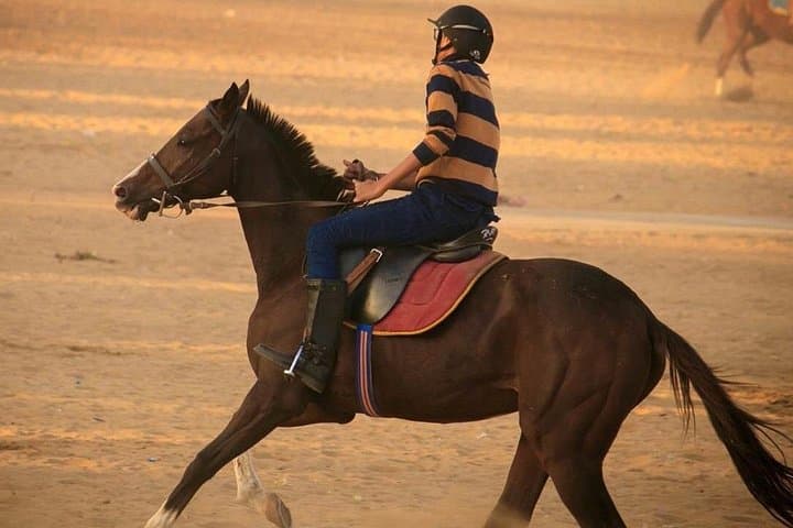 Hurghada Horseback Adventure: 3-Hour Beach, Desert & Swim Ride photo 3