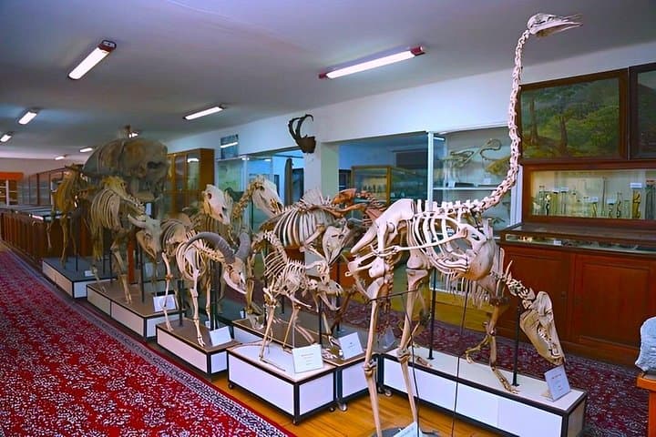 Family Day in Baku: Zoo, Natural History Museum & Megafun Adventure