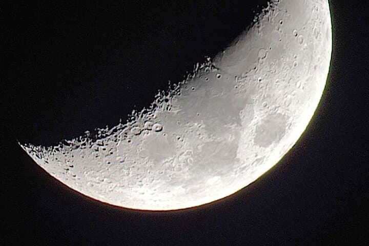 Monteverde Night Wildlife Walk: Guided Nocturnal Expedition in a Private Reserve photo 2