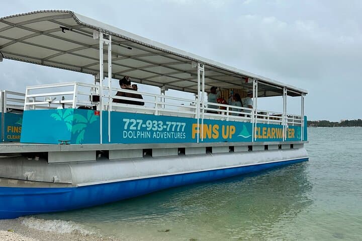Clearwater Beach Dolphin & Sandbar Cruise — Fins Up Dolphin Watching & Island Swim photo 2
