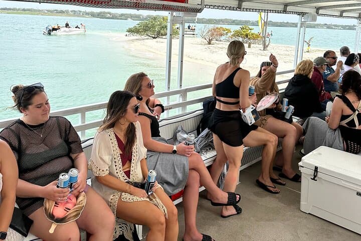Clearwater Beach Dolphin & Sandbar Cruise — Fins Up Dolphin Watching & Island Swim photo 3