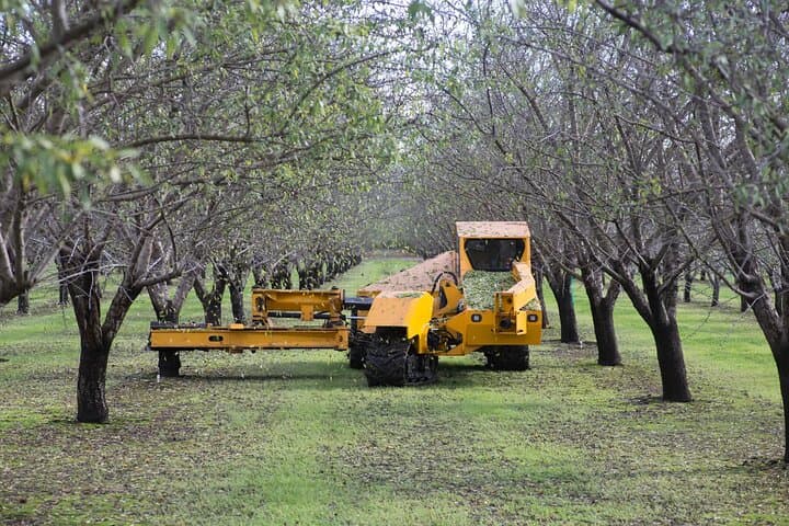 Fruits & Roots of Modesto: Self-Guided Agri-History Audio Tour photo 5
