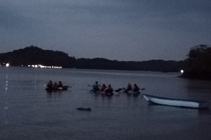 Paquera Kayak Bioluminescence Tour: Night Paddle Through Glowing Waters photo 4